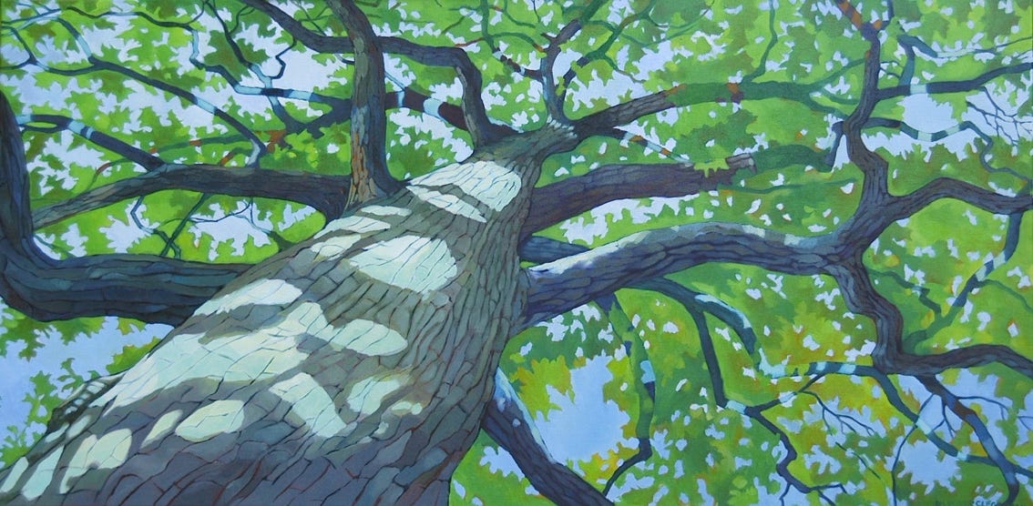 oak tree oil painting
